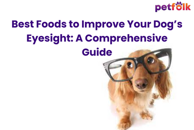 Best Foods to Improve Your Dog’s Eyesight: A Comprehensive Guide