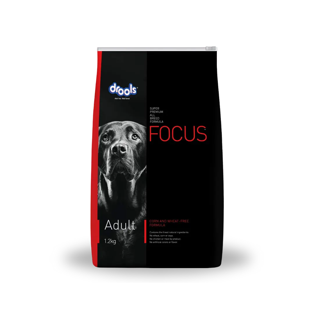 Drools Focus Adult All Breeds Drools