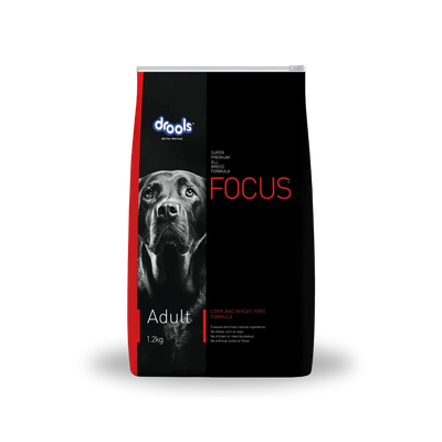 Drools Focus Adult All Breeds Drools