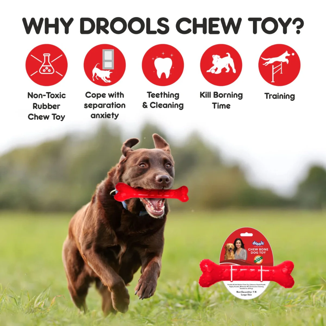 Drools Non-Toxic Rubber Chew Bone Teething Toy For Dogs Drools