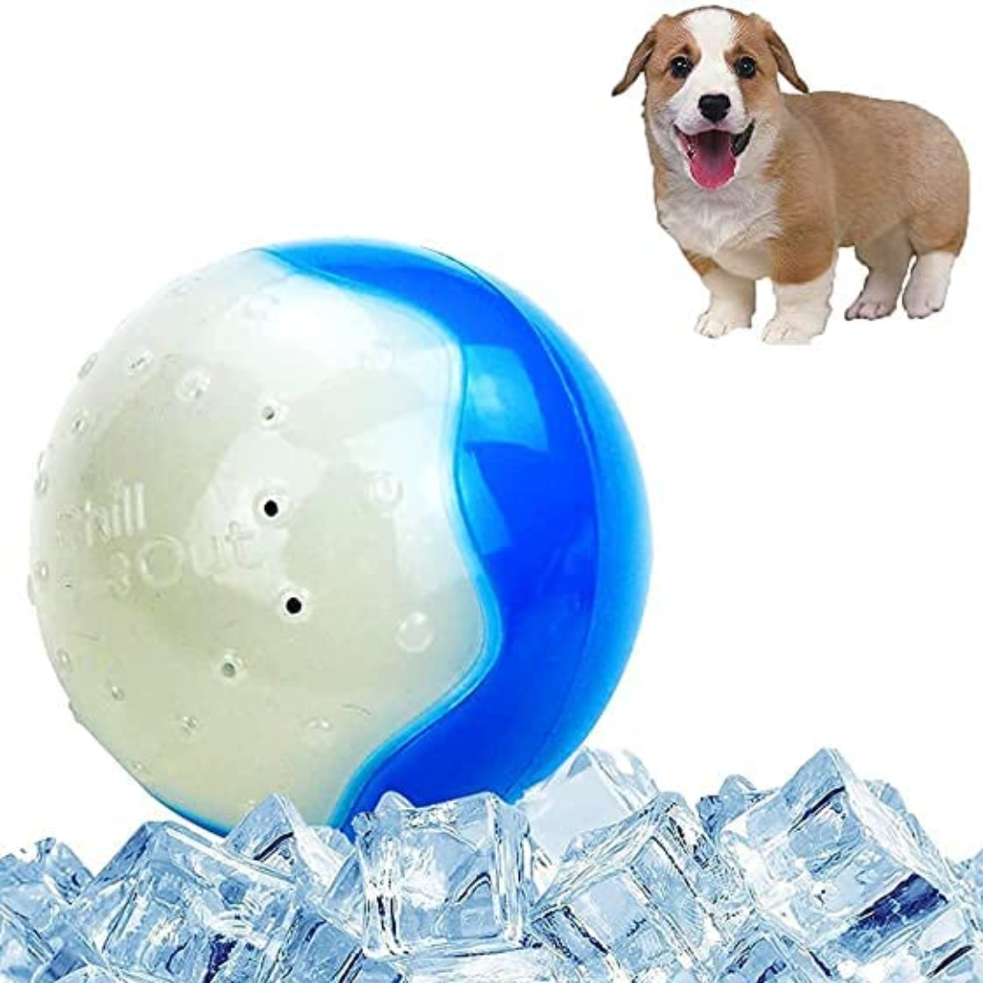 Holy Pawd Cool Gel Inside Pet Ball For Dogs Holy Pawd