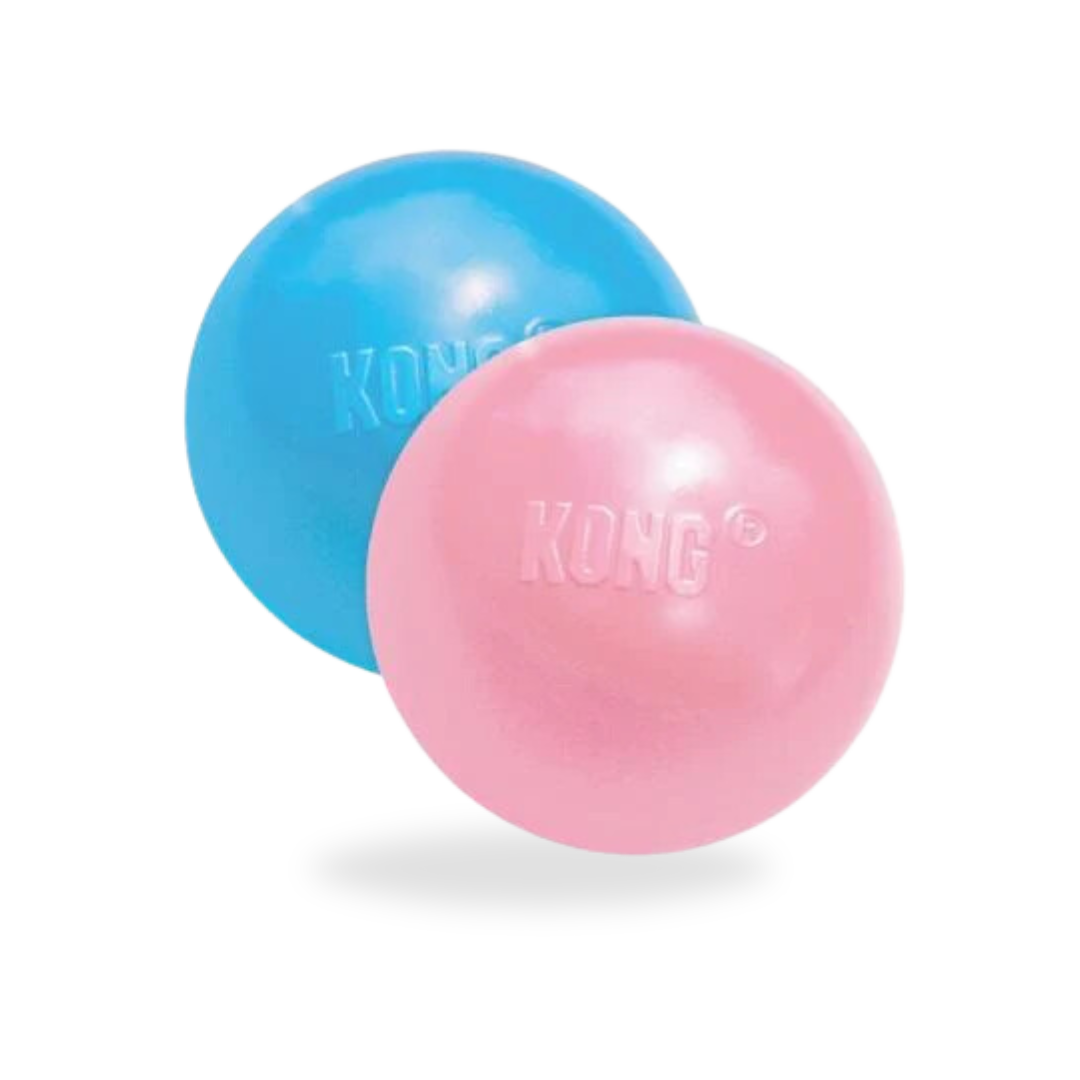 Kong Puppy Ball With Hole Kong