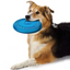 Pets Friend Pets Frisbee Pets Friend