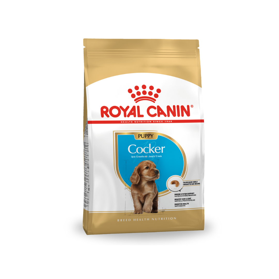 Royal Canin Cocker Spaniel Adult Dry Dog Food Royal Canin