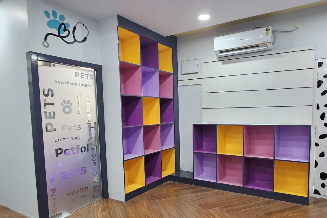 Colorful and modern pet grooming salon with purple and yellow geometric patterns on shelves and walls, air conditioning unit, signage for "Pets Veterinary Surgeon," and paw print logo.